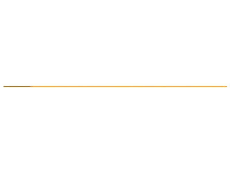 ПЛАСТИНА ИЗНОСНАЯ