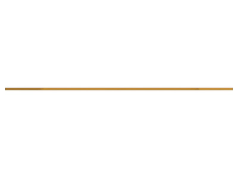 ПЛАСТИНА ИЗНОСНАЯ