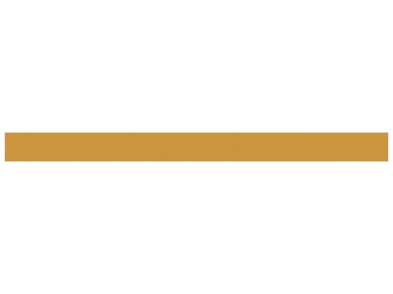 ПЛАСТИНА ИЗНОСНАЯ