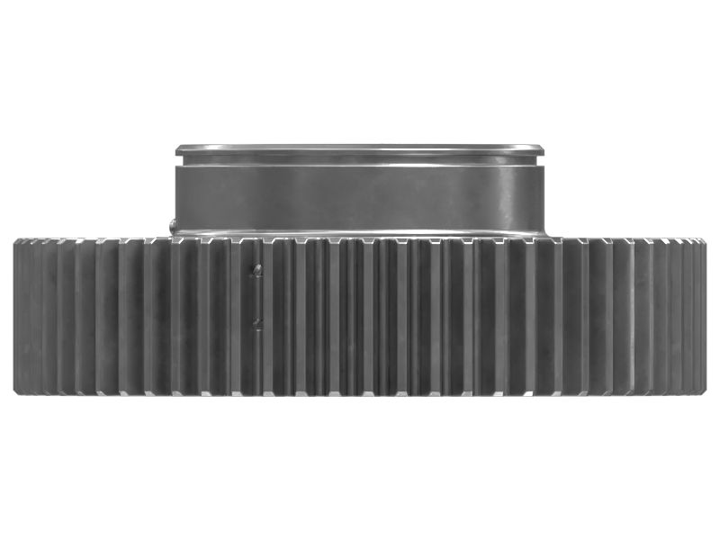 СТУПИЦА В СБОРЕ