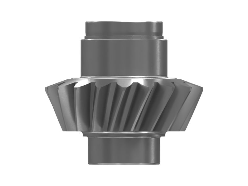 ШЕСТЕРНЯ В СБОРЕ