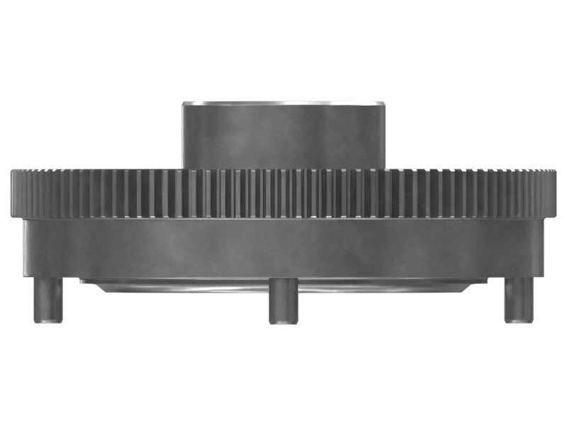 СТУПИЦА В СБОРЕ