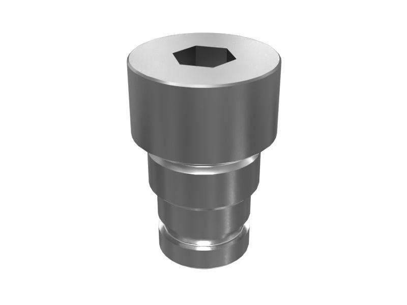 ЗАГЛУШКА ОБРАТНОГО КЛАПАНА