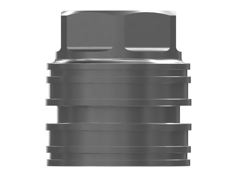 89mm Outer Diameter Piston