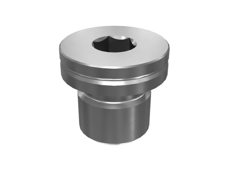 595-1065: M12 Internal Hex Head Water Pump Housing Plug