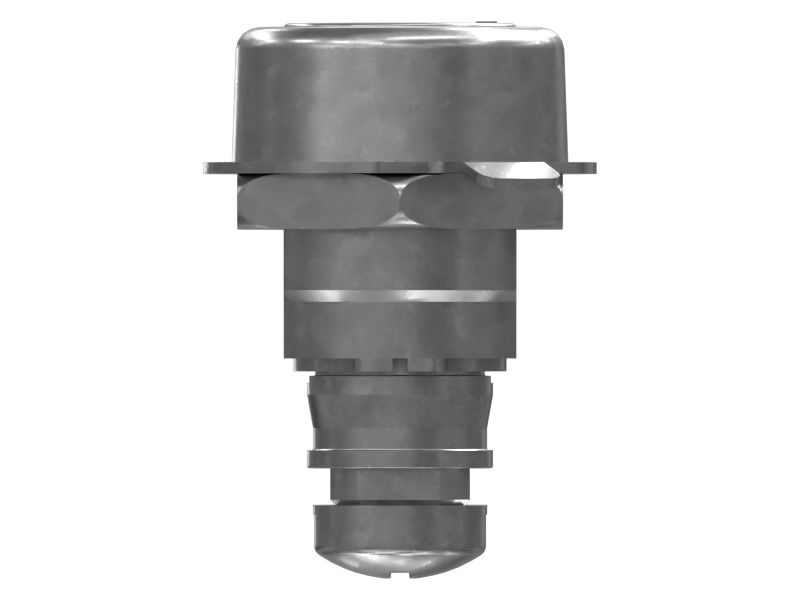 ЗАМОК В СБОРЕ