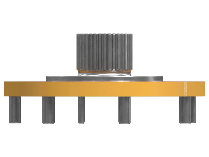 СТУПИЦА В СБОРЕ