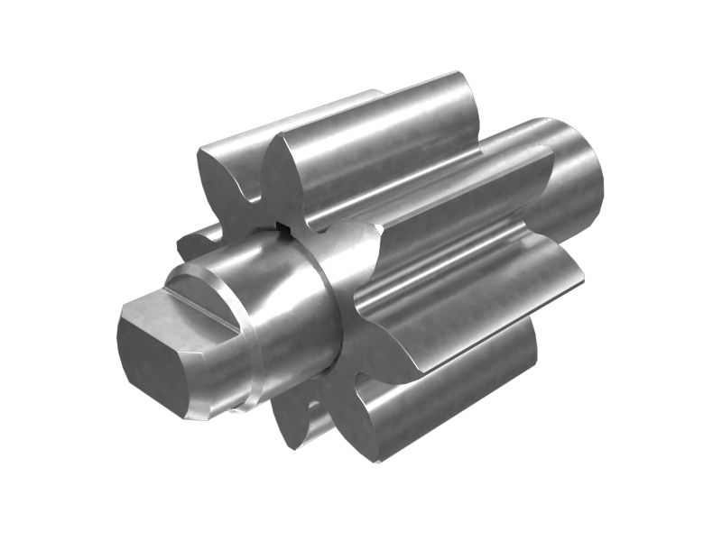 ШЕСТЕРНЯ В СБОРЕ