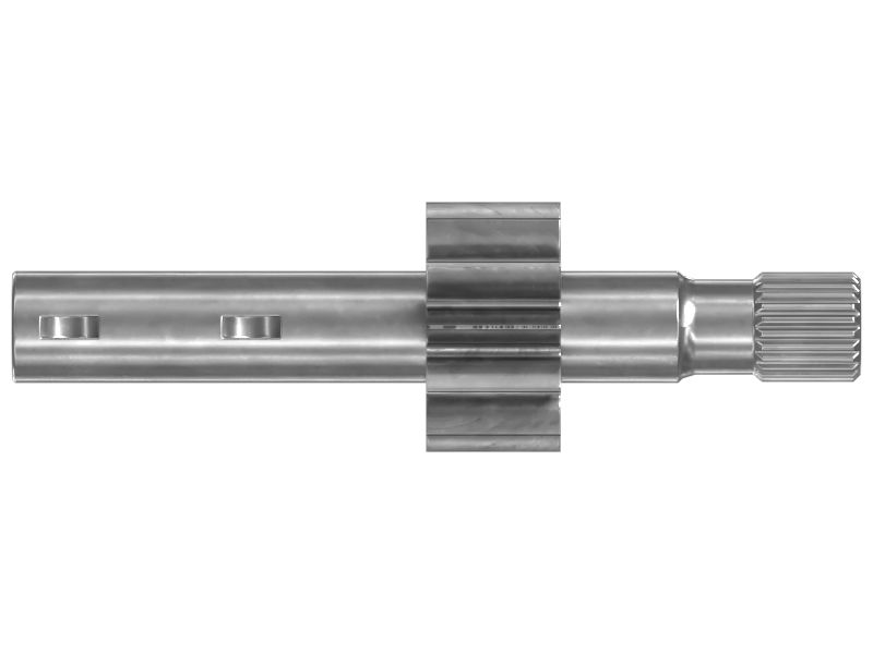 ШЕСТЕРНЯ В СБОРЕ