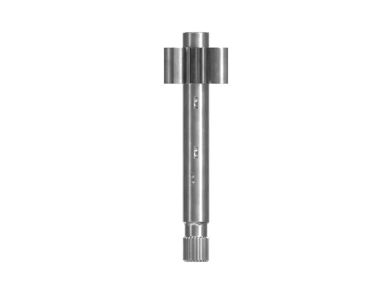 ШЕСТЕРНЯ В СБОРЕ