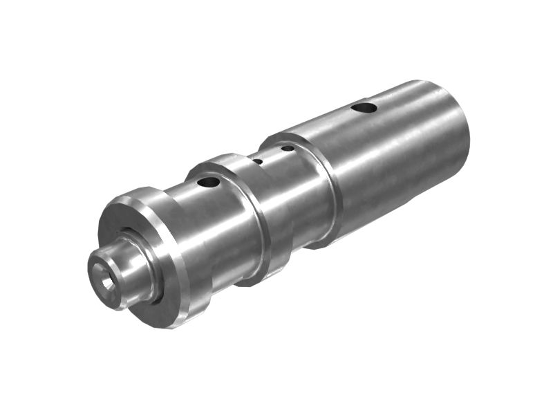 ЗОЛОТНИК В СБОРЕ