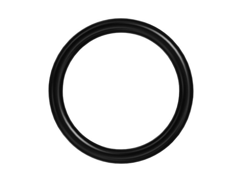 ТОРОИДАЛЬНОЕ КОЛЬЦО