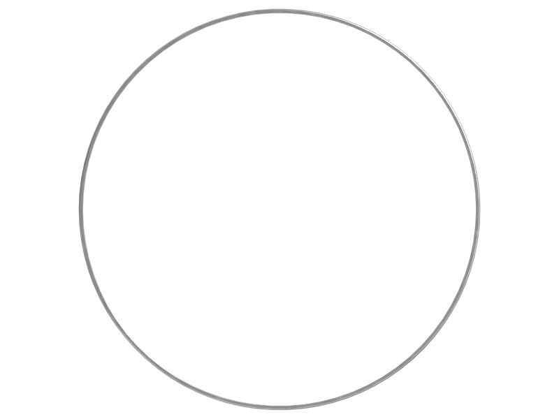 647.7mm FKM D-Ring Seal