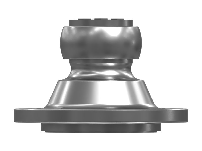 ЦАПФА В СБОРЕ