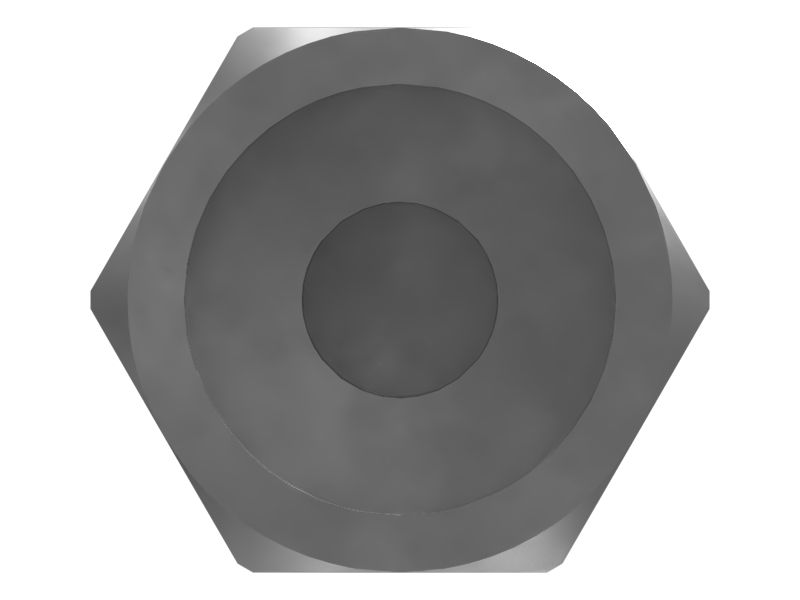 ШЛАНГ В СБОРЕ