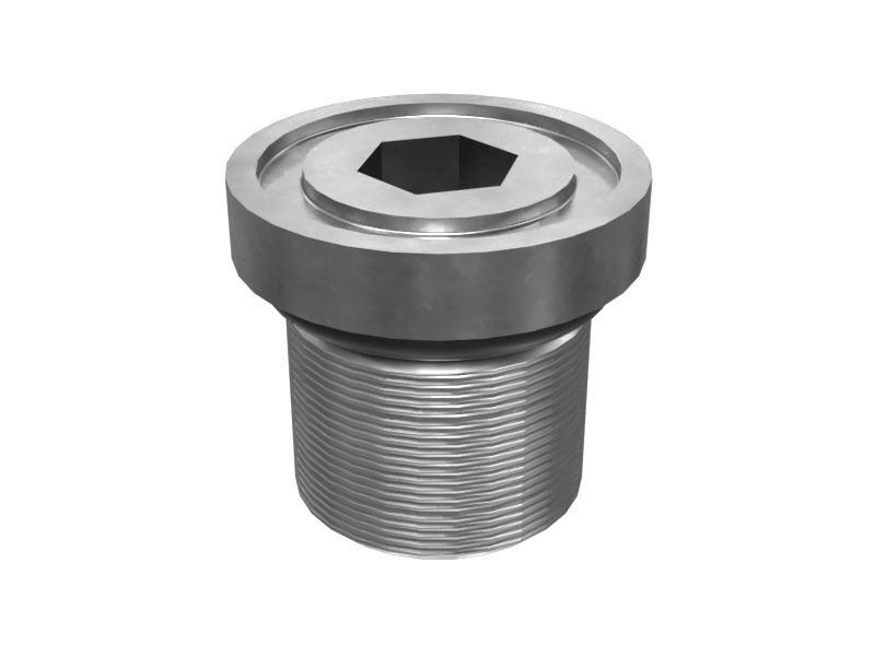 ЗАГЛУШКА С ГОЛОВКОЙ ПОД ТОРЦЕВОЙ КЛЮЧ В СБОРЕ