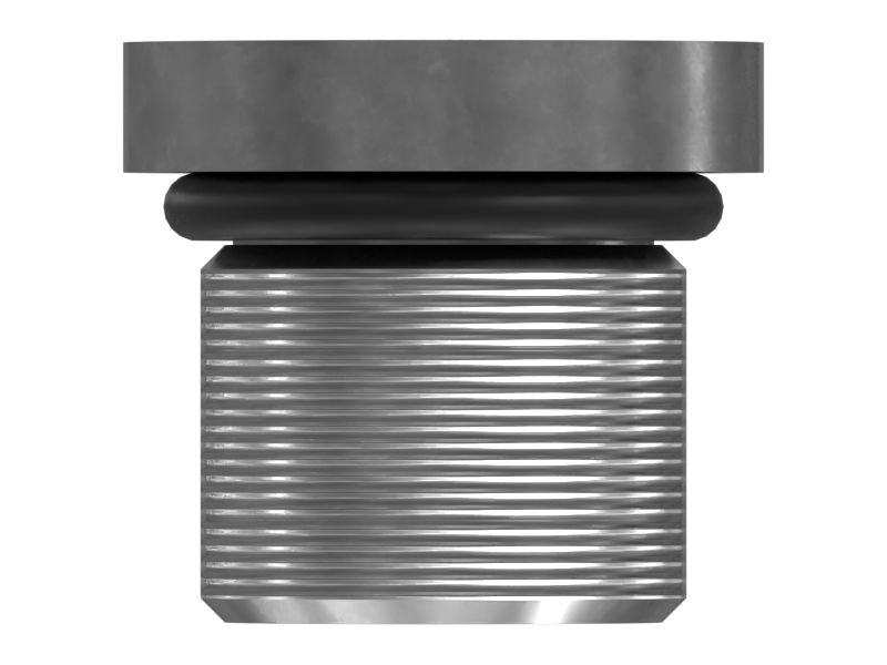 ЗАГЛУШКА С ГОЛОВКОЙ ПОД ТОРЦЕВОЙ КЛЮЧ В СБОРЕ