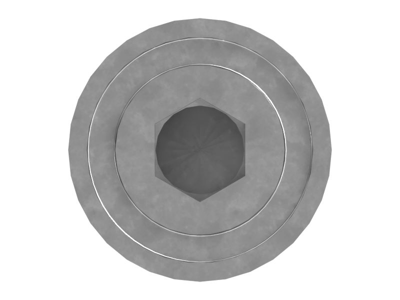 ЗАГЛУШКА С ГОЛОВКОЙ ПОД ТОРЦЕВОЙ КЛЮЧ В СБОРЕ