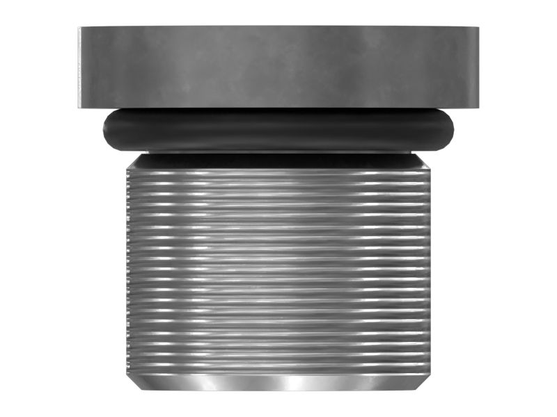 ЗАГЛУШКА С ГОЛОВКОЙ ПОД ТОРЦЕВОЙ КЛЮЧ В СБОРЕ