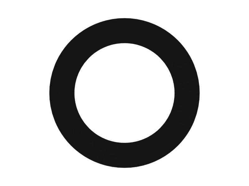 Шайба лопастного насоса толщиной 0,03 дюйма