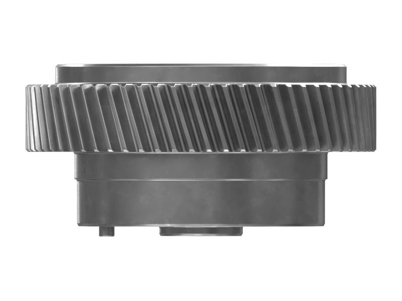 ШЕСТЕРНЯ В СБОРЕ