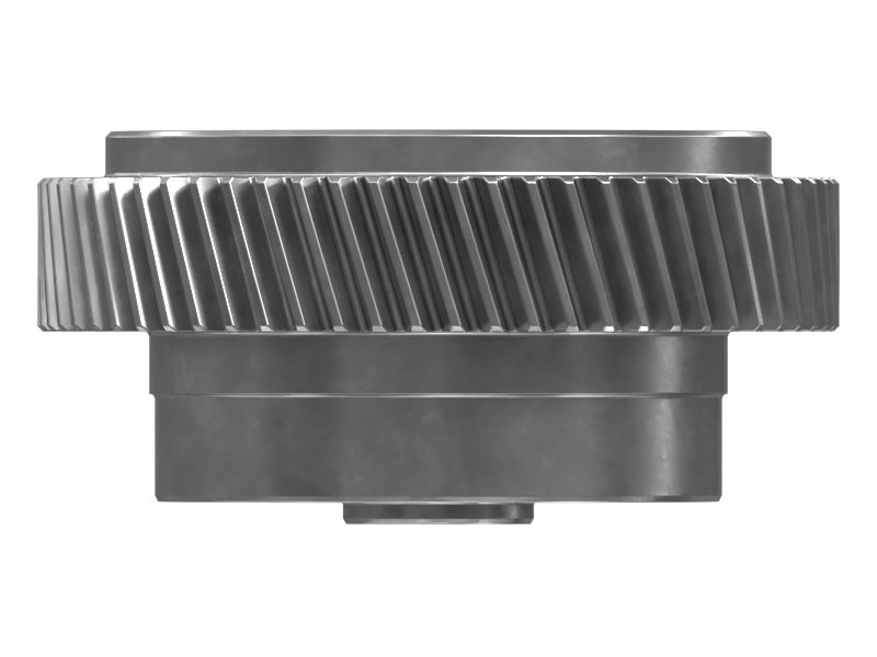 ШЕСТЕРНЯ В СБОРЕ