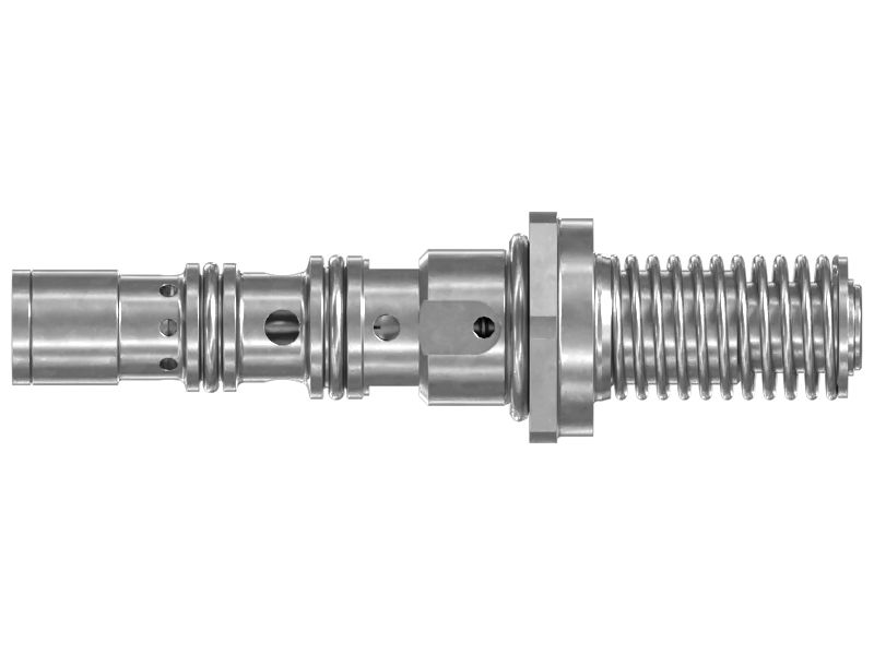 СЕРДЦЕВИНА В СБОРЕ