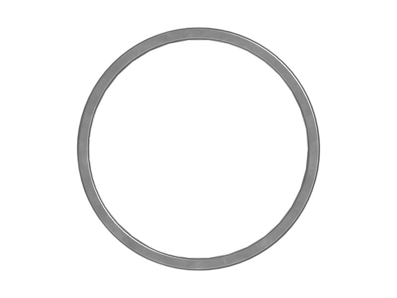 501-8596: SEAL-BUFFER 5018596 купить