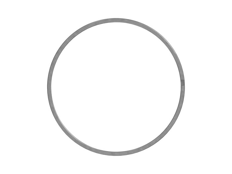 498-0169: 80.1mm Inner Diameter Piston Wear Ring 4980169 купить