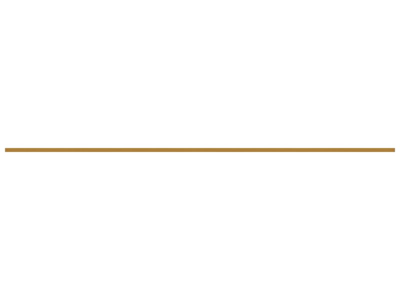 ПЛАСТИНА ОПОРНАЯ