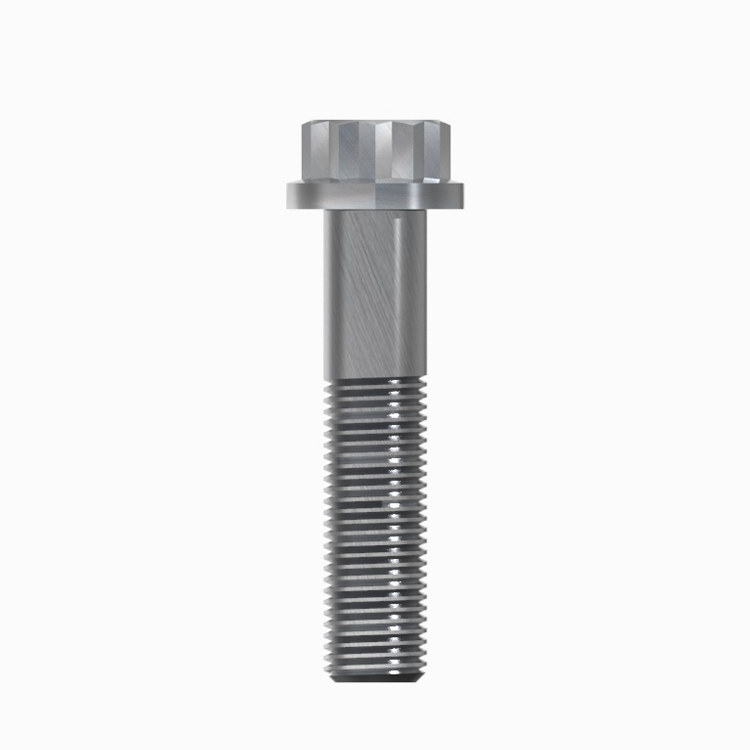 M14 12Point Bolt