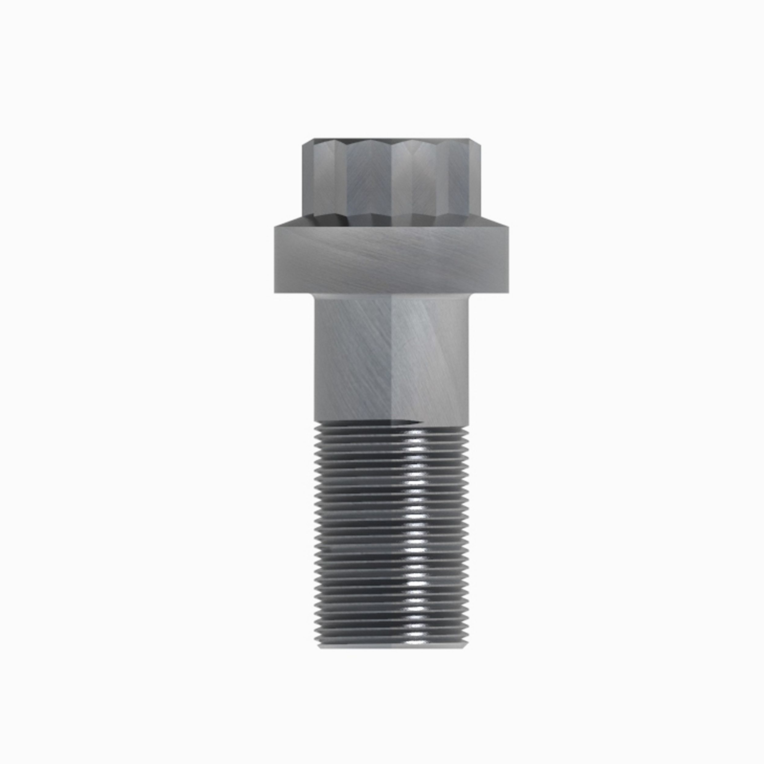 M8 12 Point Bolt