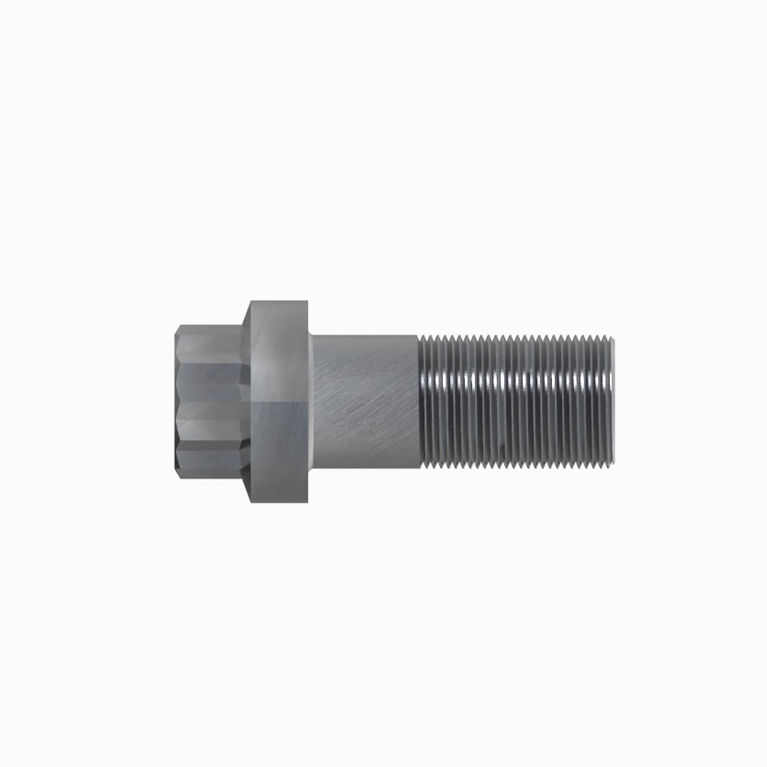 M14 12Point Bolt