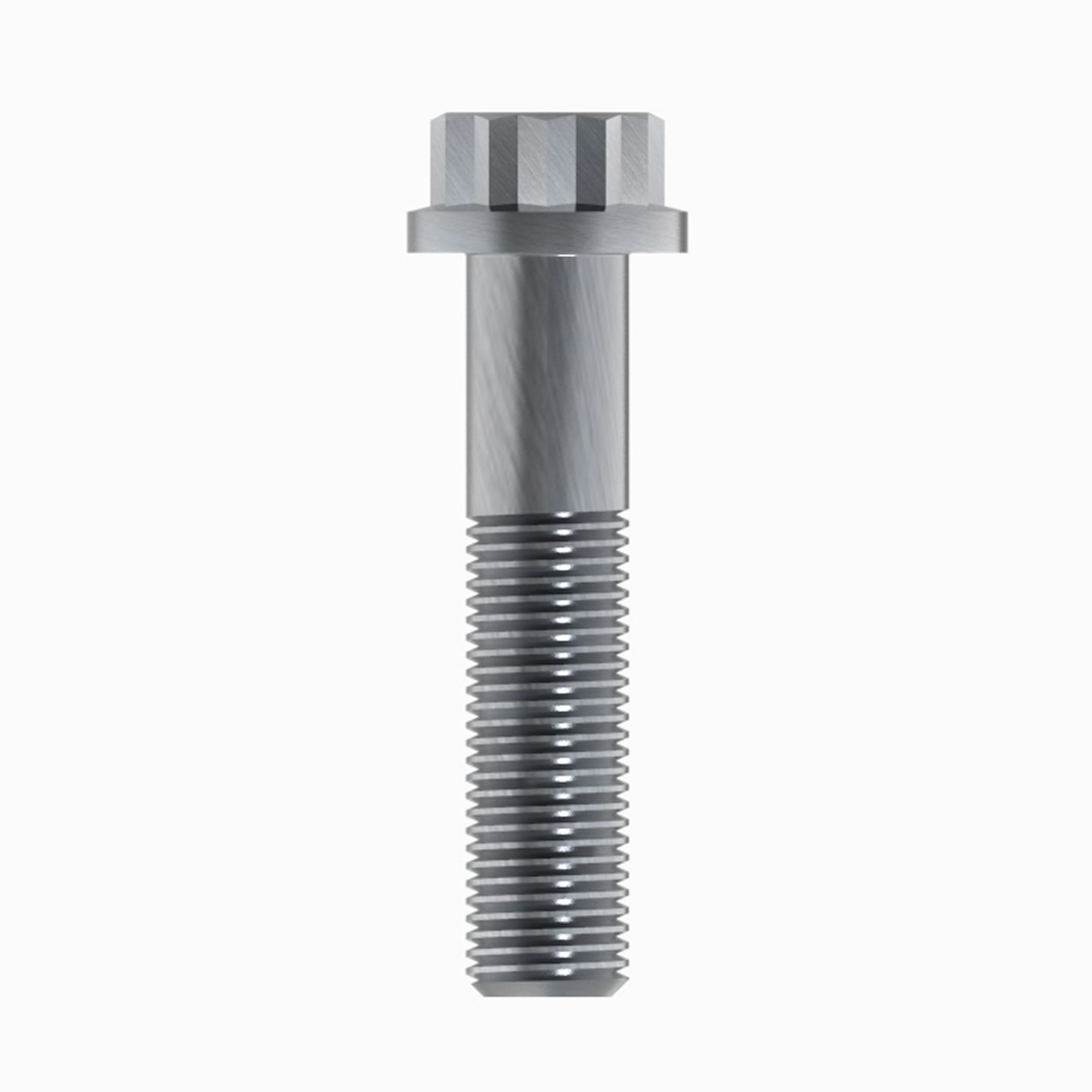 M14 12Point Bolt