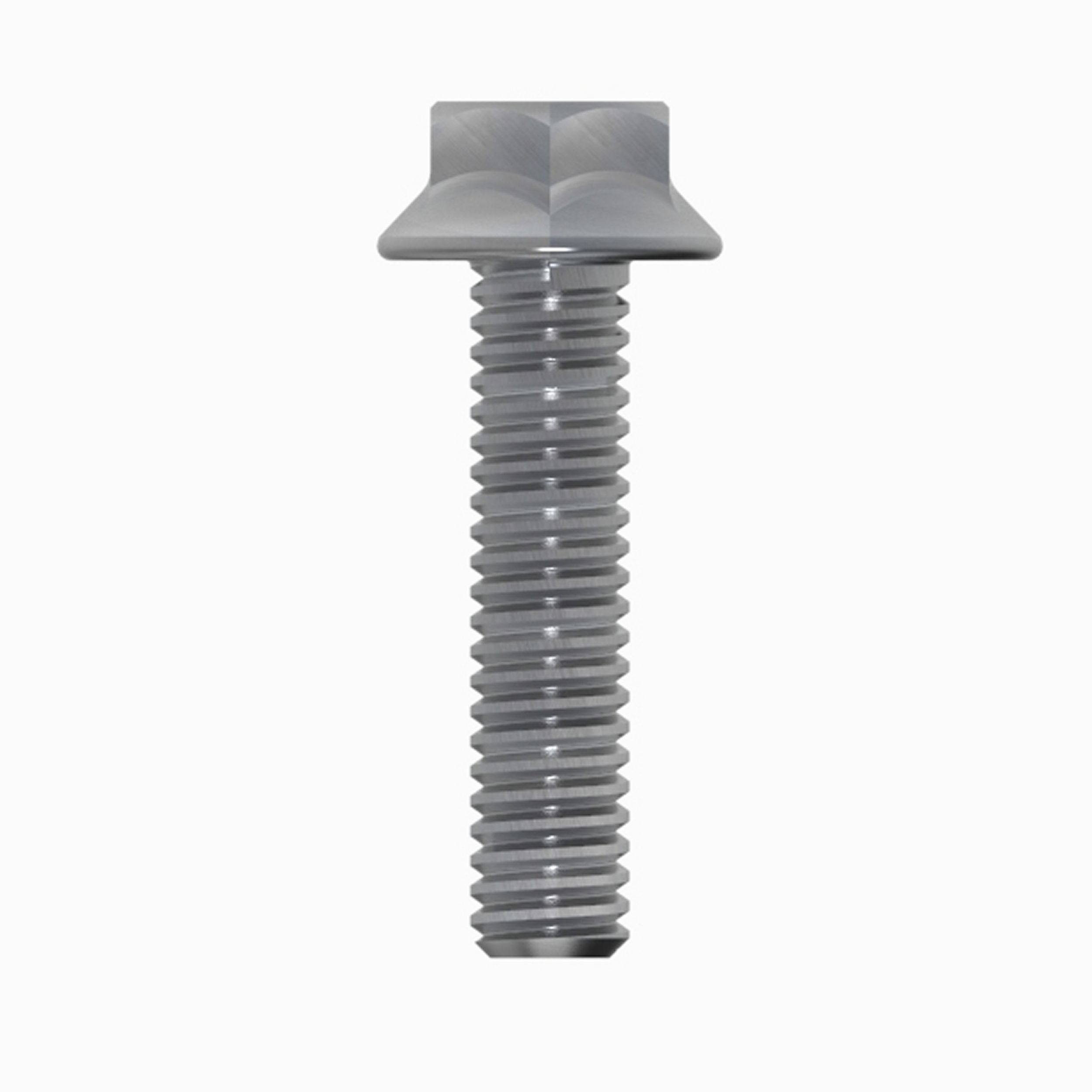M6 Flanged Hexagonal Bolt