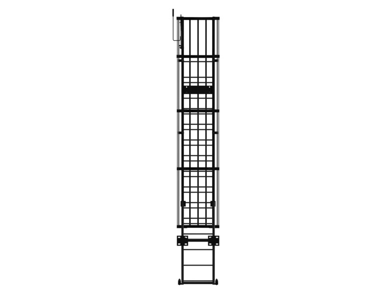 Field Ladder