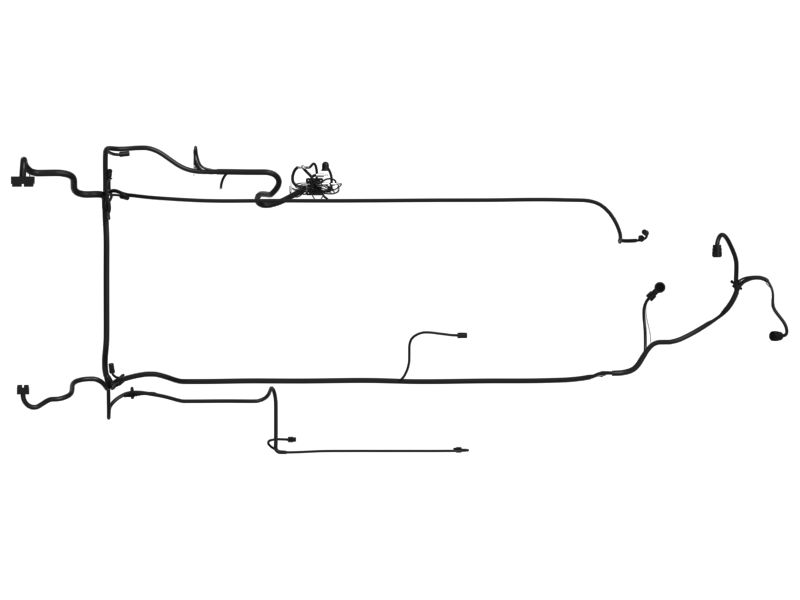 Engine Wiring Harness