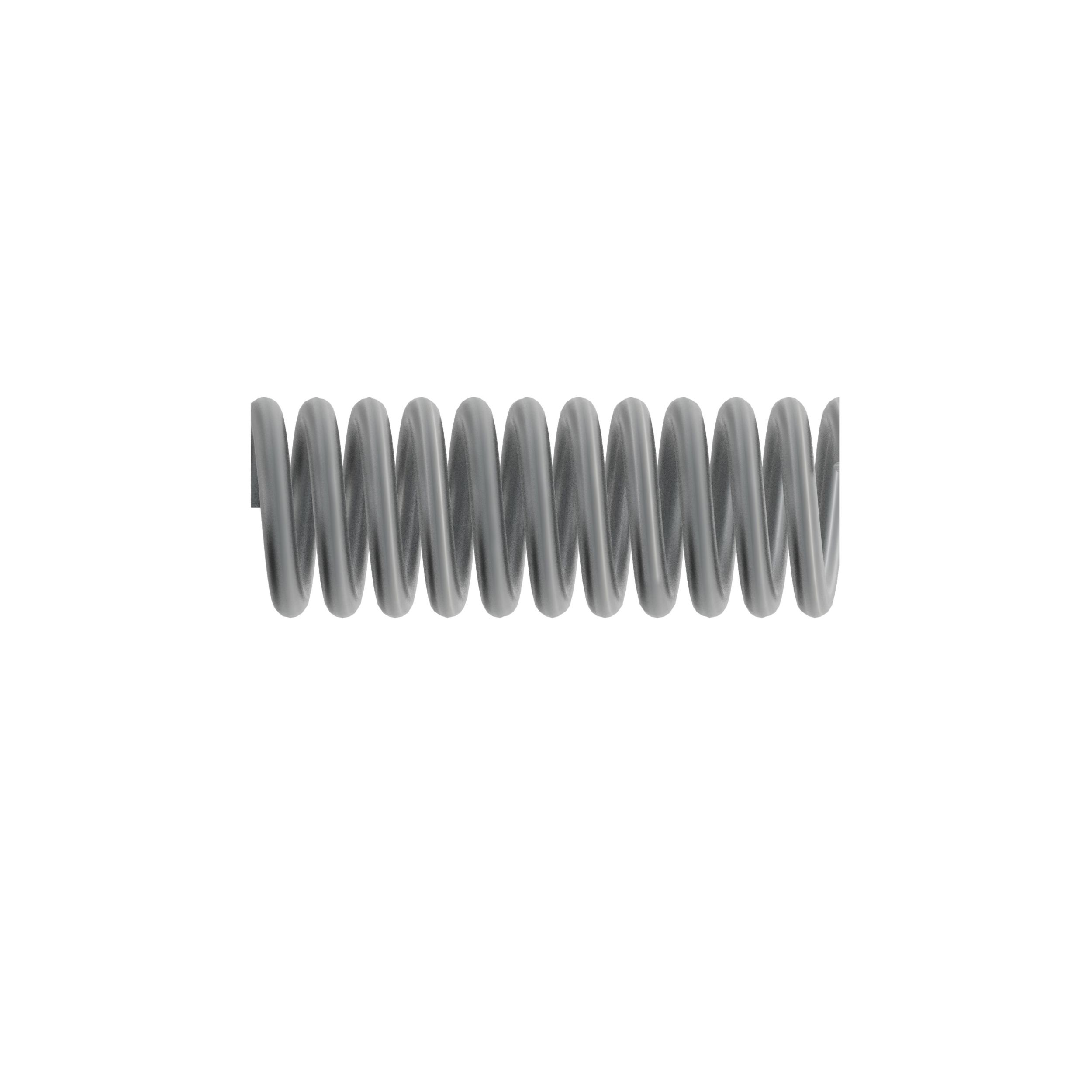 Valve Spring