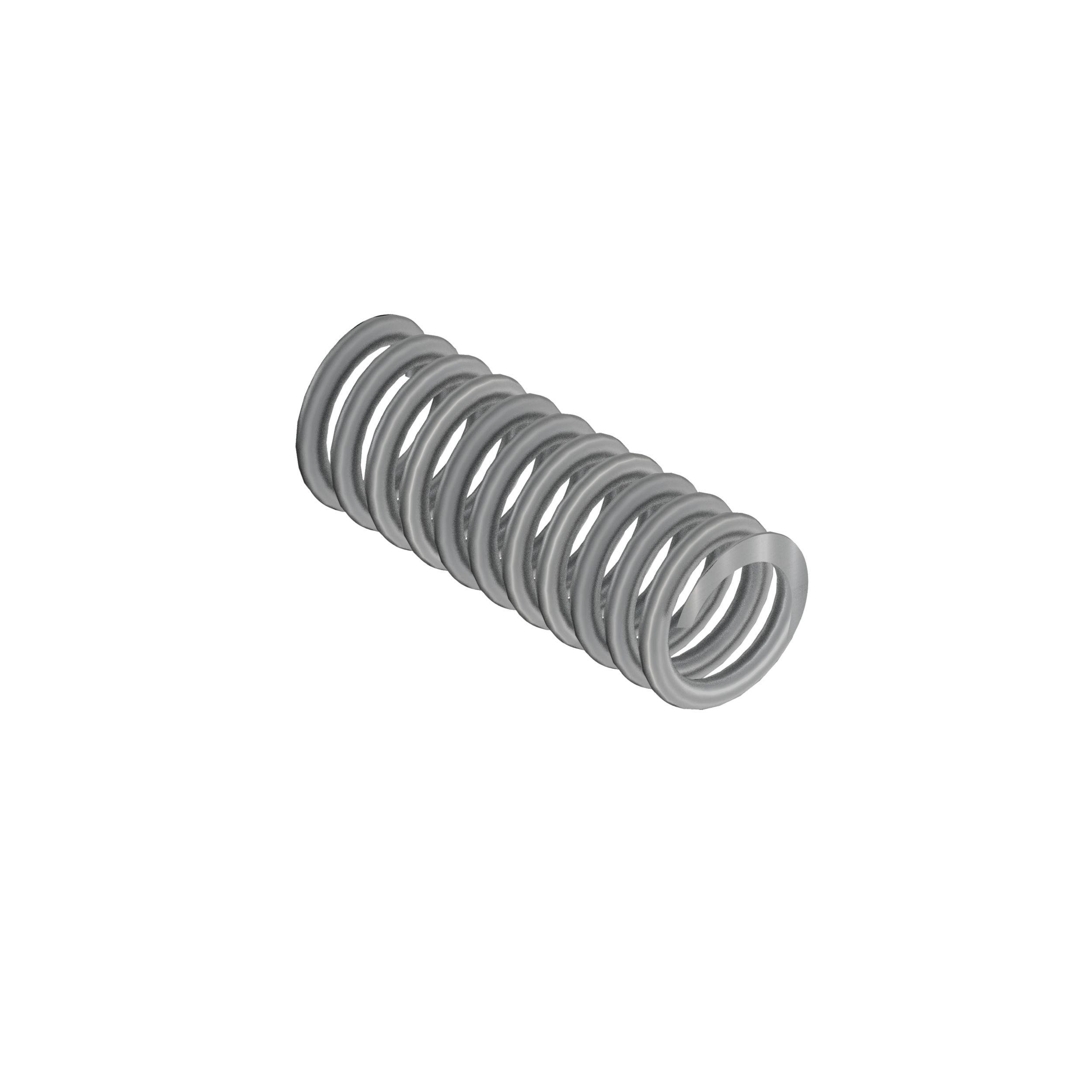 Valve Spring