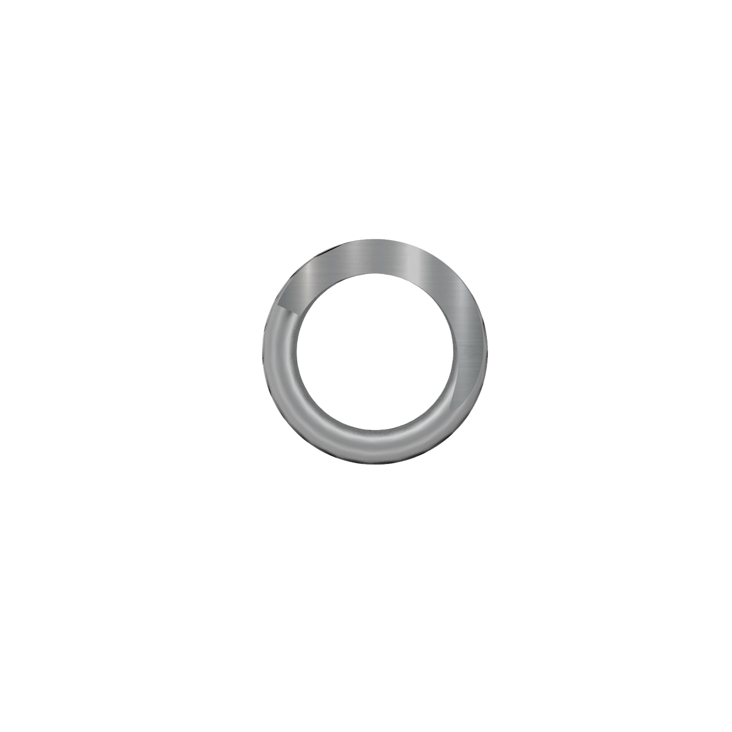 Valve Spring