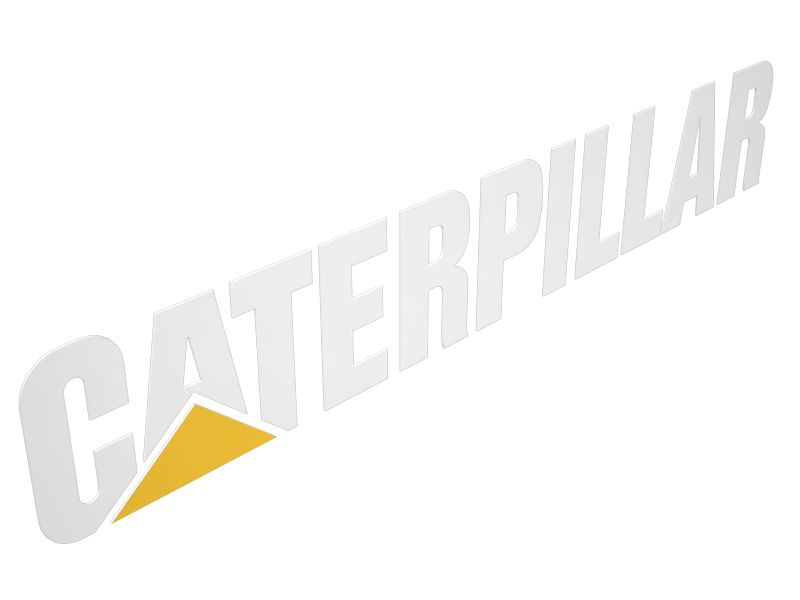 258-0342: НАКЛЕЙКА CAT