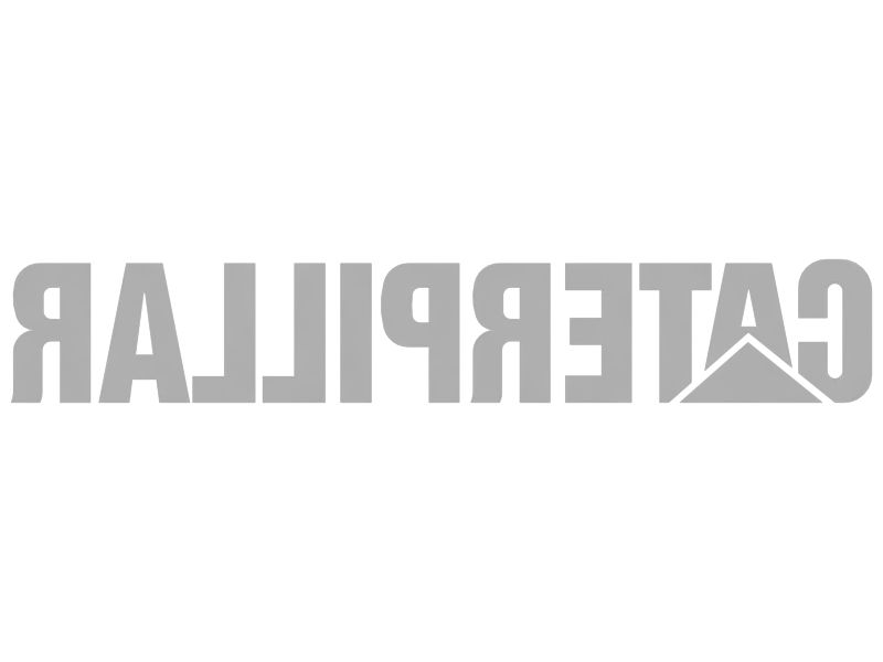 НАКЛЕЙКА CAT