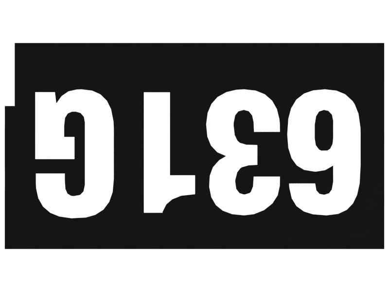 НАКЛЕЙКА 631G HO