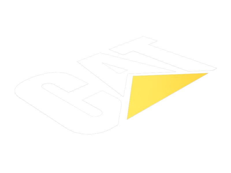 НАКЛЕЙКА CAT