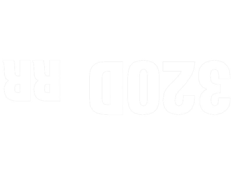 НАКЛЕЙКА 320D RR