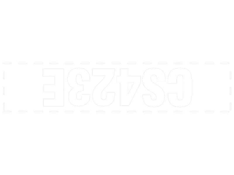 НАКЛЕЙКА CS423E