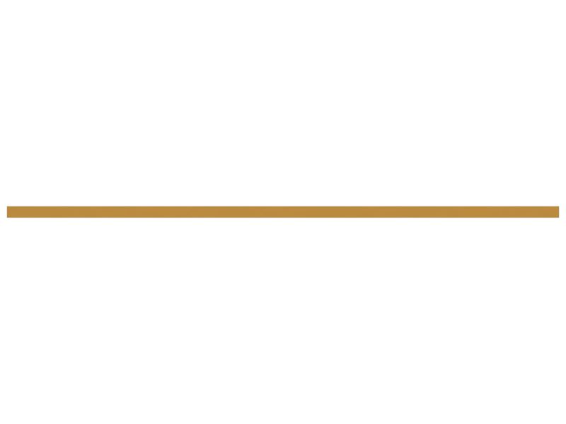 ПЛАСТИНА БОКОВИНЫ