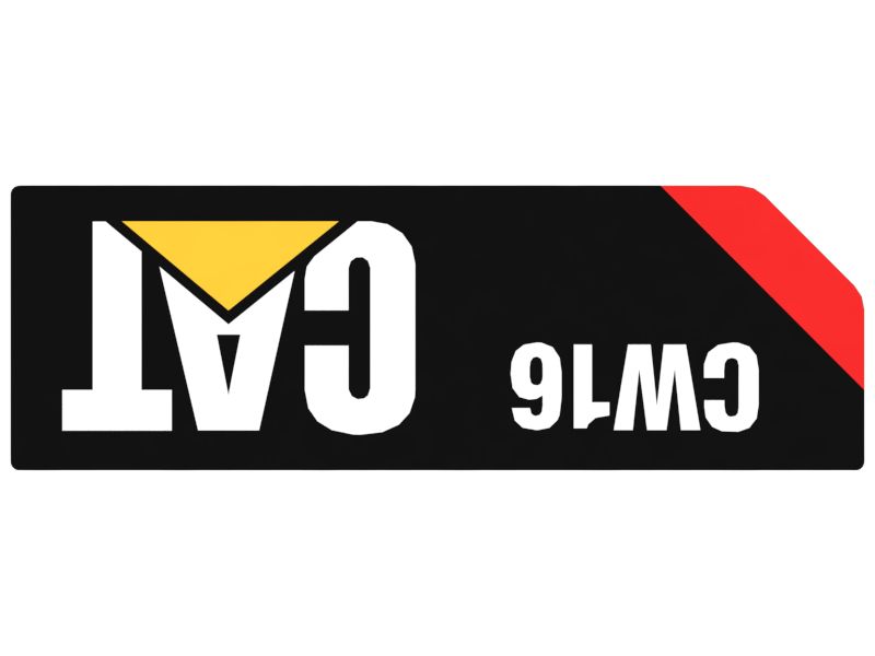 НАКЛЕЙКА CAT CW1