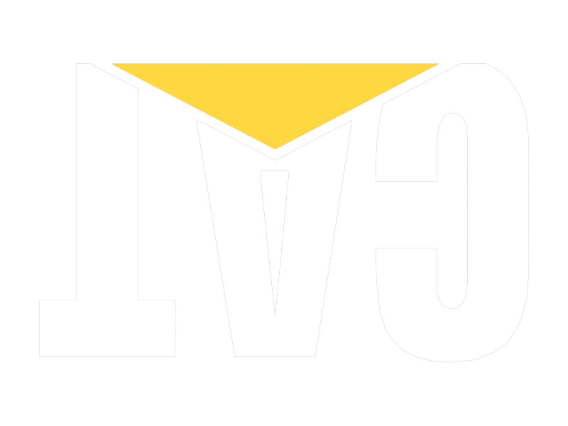 НАКЛЕЙКА CAT