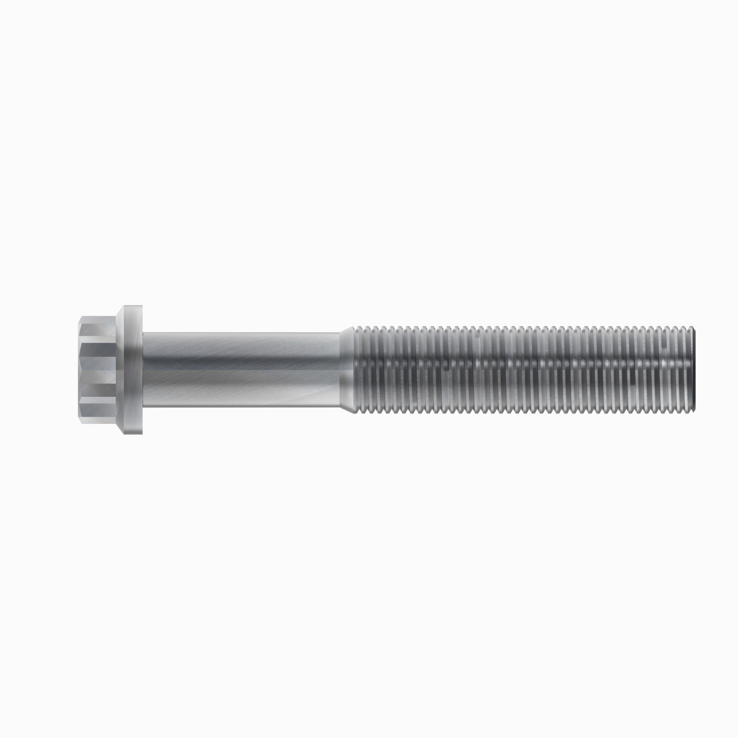 12 Point Bolt